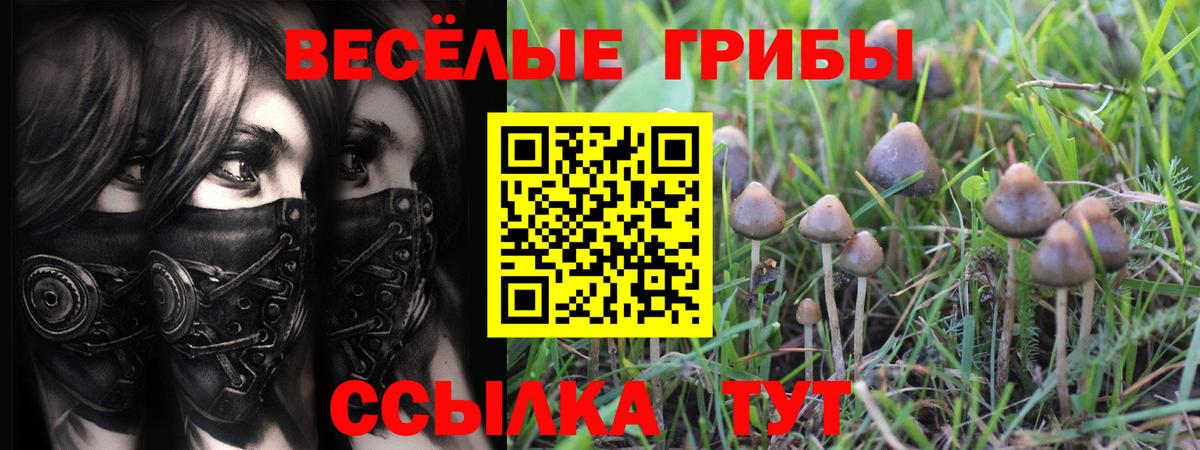 Гагарин  Галлюциногенные грибы Magic Shrooms  Вход с VPN 